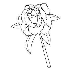 Magician flower black and white clipart