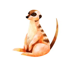 Meerkat clipart