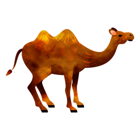 Camel clipart