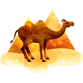 Camel vector