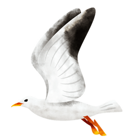Seagull clipart
