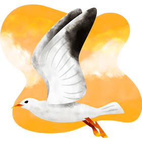Seagull vector