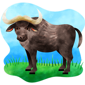 Buffalo vector