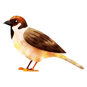 Sparrow clipart
