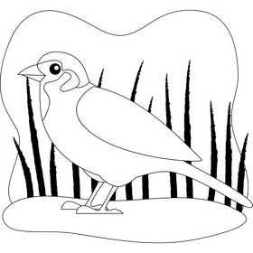 Sparrow drawing black and white clipart