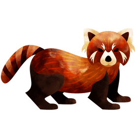 Red panda clipart