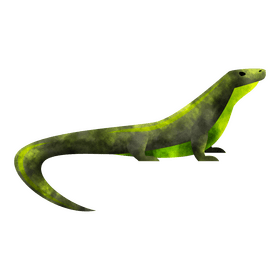 Komodo dragon clipart