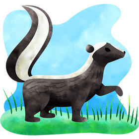 Skunk vector