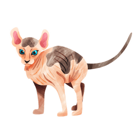 Sphynx cat clipart