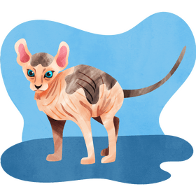 Sphynx cat vector