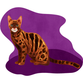Bengal cat vector