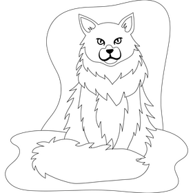 Maine coon cat drawing black and white clipart
