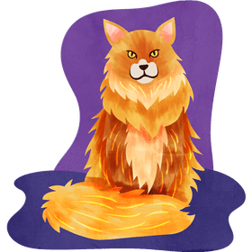 Maine coon cat vector