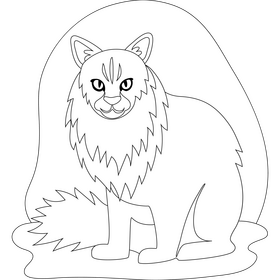 Siberian cat drawing black and white clipart