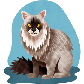 Siberian cat vector