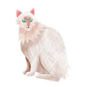 Angora cat clipart