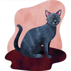 Russian blue cat vector