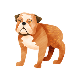 Bulldog dog clipart