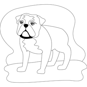 Bulldog dog drawing black and white clipart