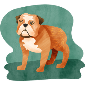 Bulldog dog vector