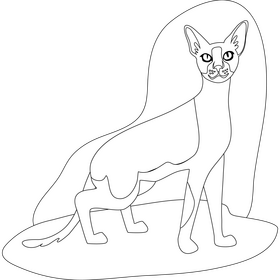Cornish rex cat drawing black and white clipart