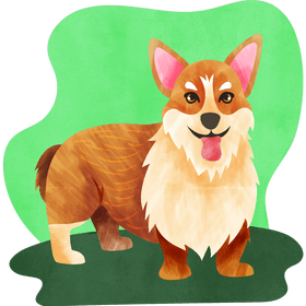 Corgi dog vector