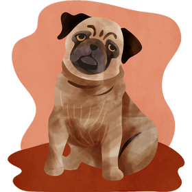 Pug dog vector