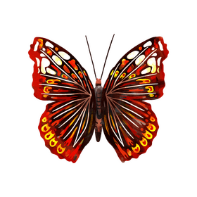 Red admiral butterfly clipart