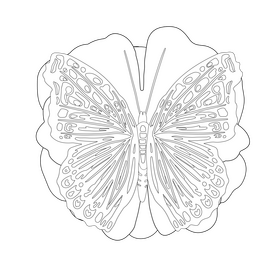 Red admiral butterfly drawing black and white clipart