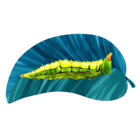 Northern pearly eye caterpillar vector