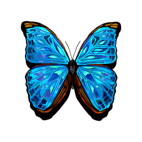 Morpho butterfly clipart