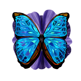 Morpho butterfly vector