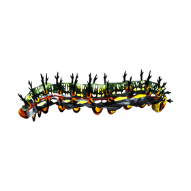 Buckeye caterpillar clipart
