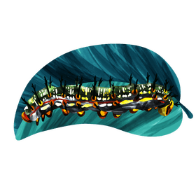 Buckeye caterpillar vector