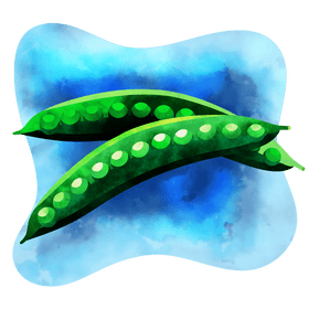 Green pea vector