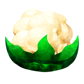 Cauliflower clipart
