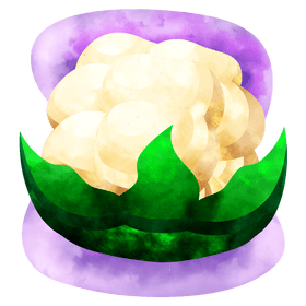 Cauliflower vector