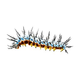Zebra longwing caterpillar clipart