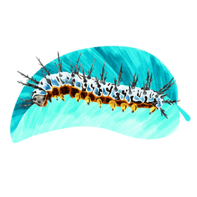 Zebra longwing caterpillar vector