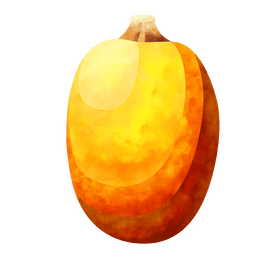Squash clipart