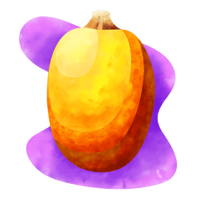 Squash vector