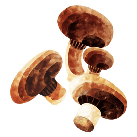 Portobello mushroom clipart