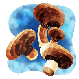 Portobello mushroom vector