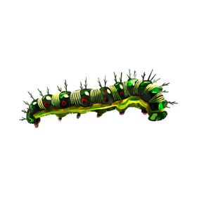 Black Swallowtail Caterpillar Clipart Free Download