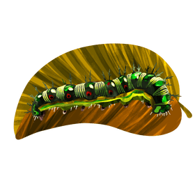 Painted lady caterpillar vector