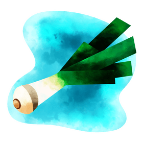 Leek vector