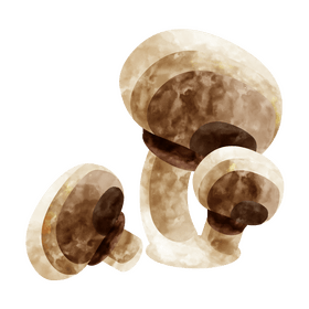 Button mushroom clipart