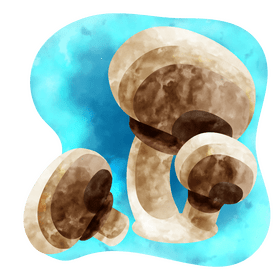 Button mushroom vector