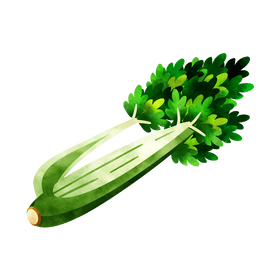 Celery clipart