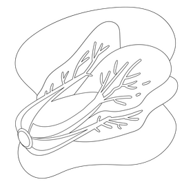 Bok choy drawing black and white clipart